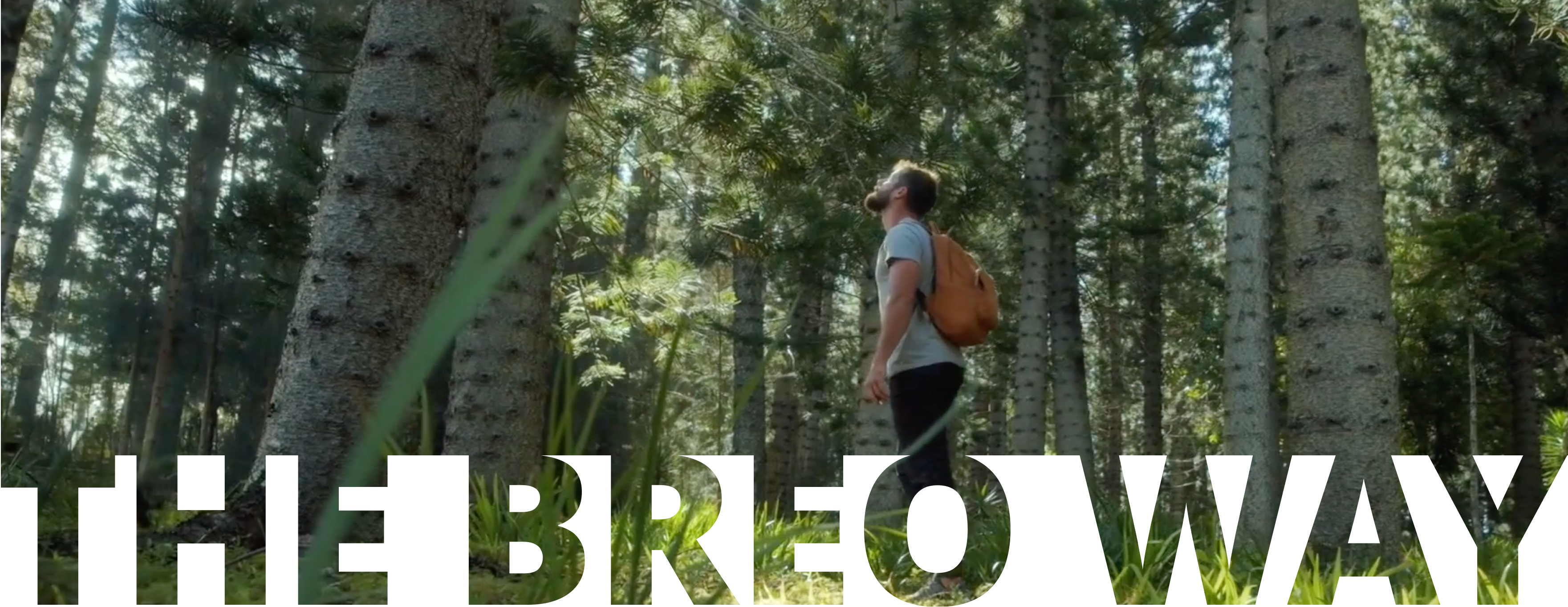 breo massager